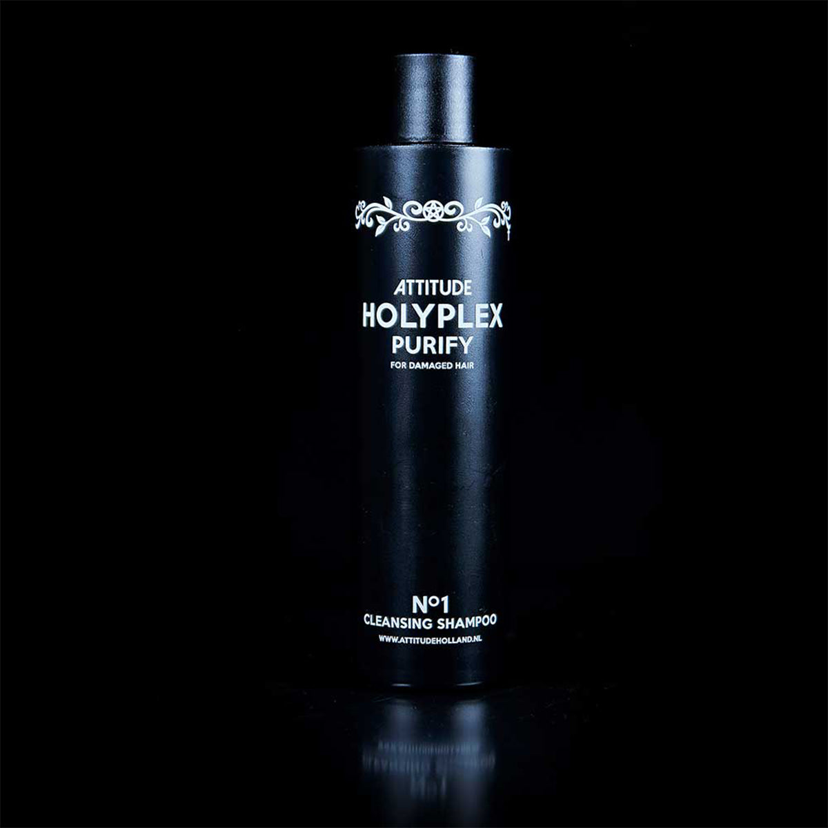HOLYPLEX NO.1 - Champú purificante - 250ml