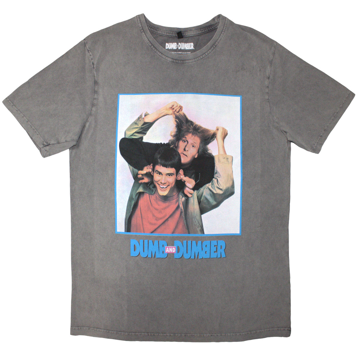 DUMB & DUMBER - MOVIE POSTER - Stone Wash T-Shirt Grey