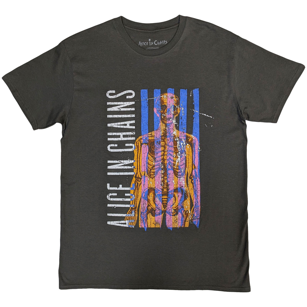 ALICE IN CHAINS - SKELETAL - Stone Wash T-Shirt Grey
