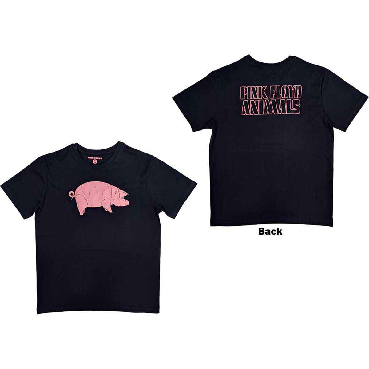 PINK FLOYD - AWBDG - T-Shirt Blue (Back Print)