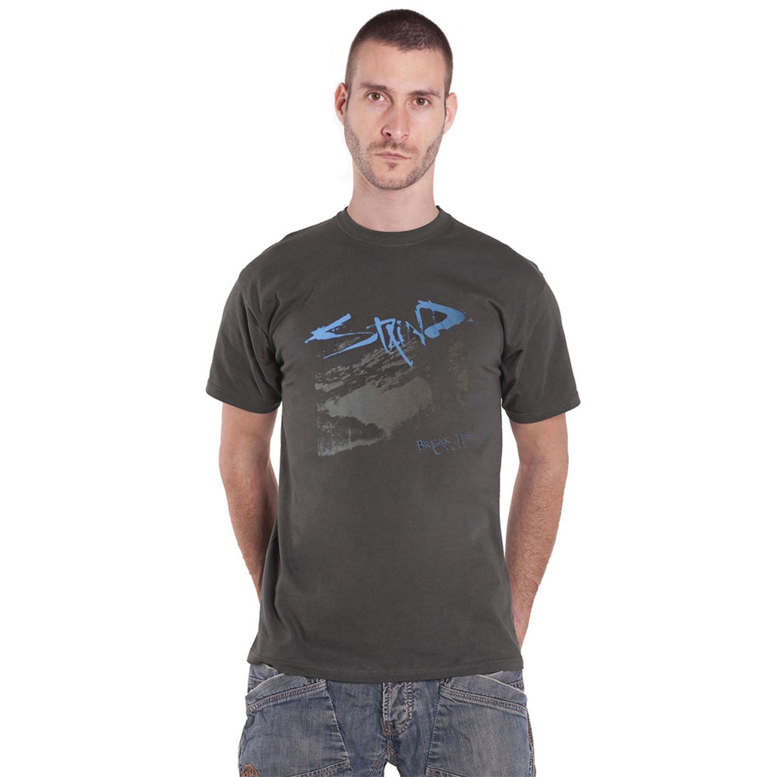STAIND - BREAK THE CYCLE - T-Shirt Grey